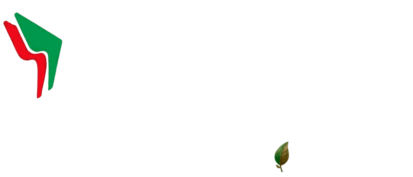 Dusnei Distribuidora — Roots Technology